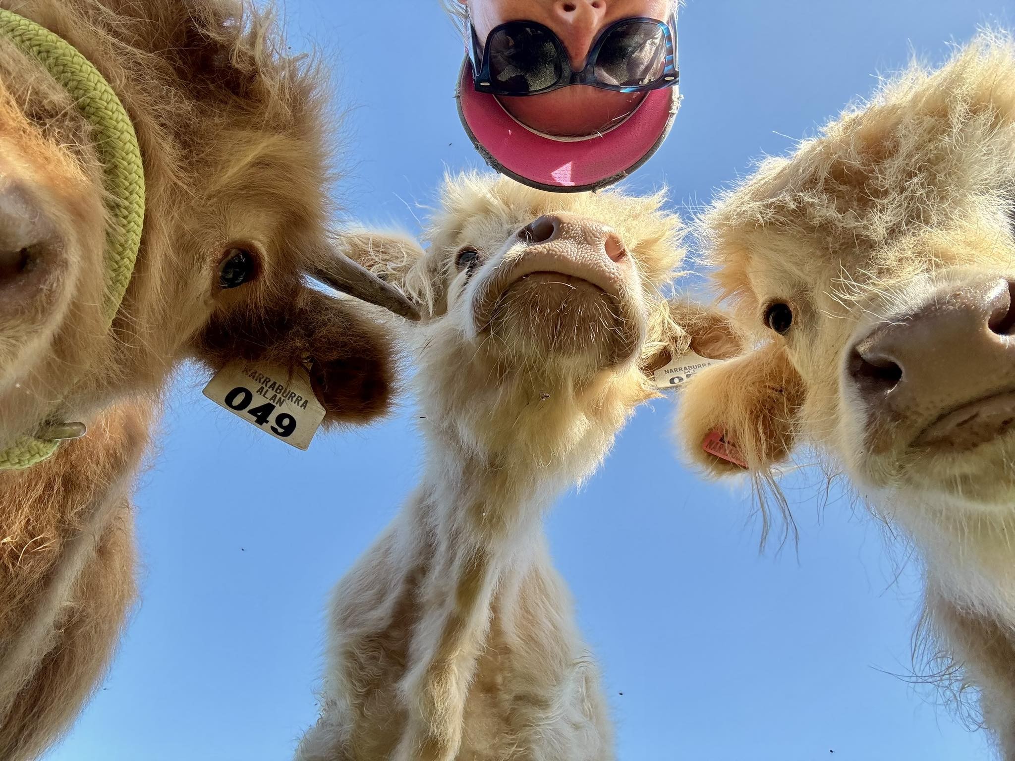 Where is Narraburra? Who are we? What is going on in the Garra?